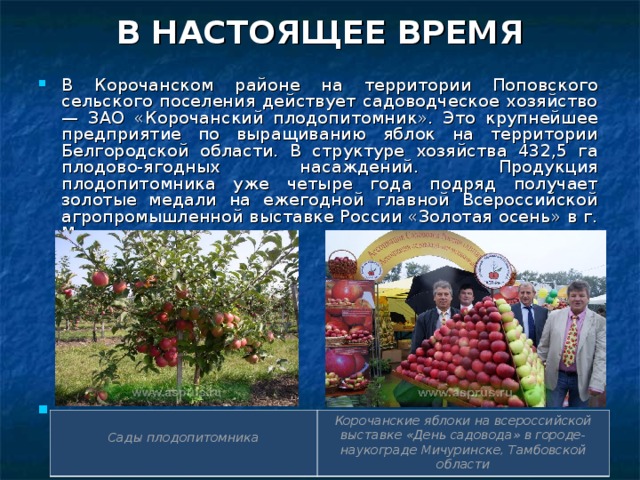 Бизнес план выращивание яблок