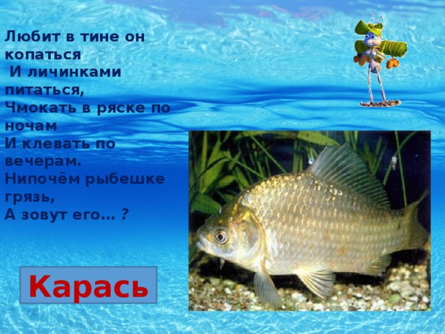 Учебник рыбы