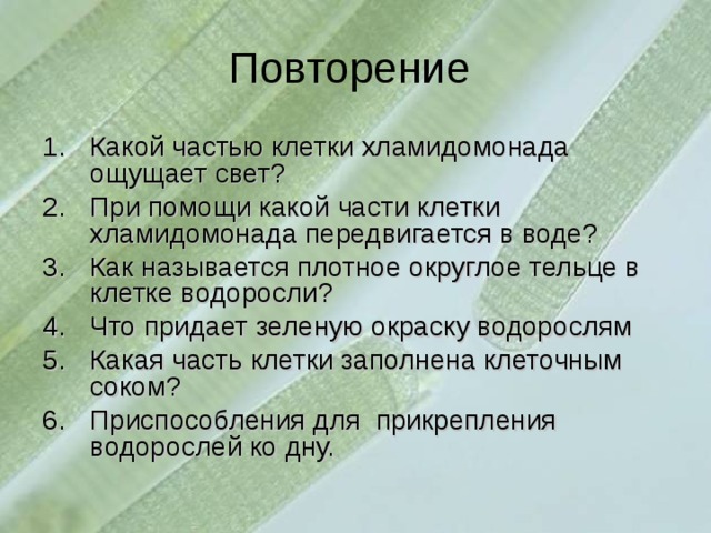 Повторение Какой частью клетки хламидомонада ощущает свет? При помощи какой части клетки хламидомонада передвигается в воде? Как называется плотное округлое тельце в клетке водоросли? Что придает зеленую окраску водорослям Какая часть клетки заполнена клеточным соком? Приспособления для прикрепления водорослей ко дну.  