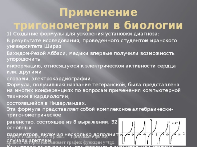 Применение тригонометрии в биологии 1) Создание формулы для ускорения установки диагноза: В результате исследования, проведенного студентом иранского университета Шираз Вахидом-Резой Аббаси, медики впервые получили возможность упорядочить информацию, относящуюся к электрической активности сердца или, другими словами, электрокардиографии.   Формула, получившая название тегеранской, была представлена на многих конференциях по вопросам применения компьютерной техники в кардиологии, состоявшейся в Нидерландах.   Эта формула представляет собой комплексное алгебраически-тригонометрическое равенство, состоящее из 8 выражений, 32 коэффициентов и 33 основных параметров, включая несколько дополнительных для расчетов в случаях аритмии. Как утверждают медики, эта формула в значительной степени облегчает процесс описания основных параметров деятельности сердца, ускоряя, тем самым, постановку диагноза и начало собственно лечения. 2) При плавании тело рыбы принимает форму кривой, которая напоминает график функции y=tgx. 