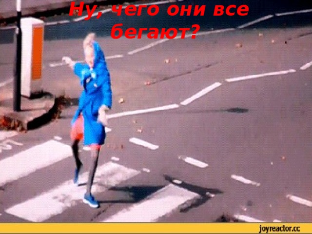 Ну, чего они все бегают?