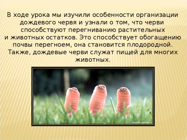 В ходе урока мы изучили особенности организации дождевого червя и узнали о том, что черви способствуют перегниванию растительных и животных остатков. Это способствует обогащению почвы перегноем, она становится плодородной. Также, дождевые черви служат пищей для многих животных. 