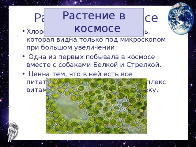 Вклад зеленых водорослей в развитие космонавтики проект 6 класс