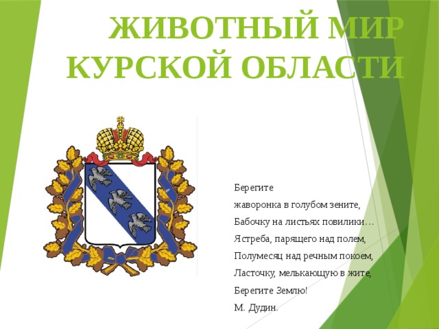 Презентация "Животный мир Курской области"