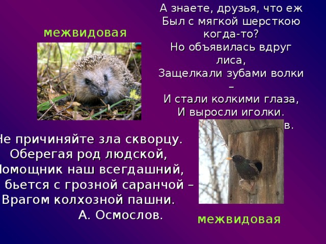А знаете, друзья, что еж  Был с мягкой шерсткою когда-то?  Но объявилась вдруг лиса,  Защелкали зубами волки –  И стали колкими глаза,  И выросли иголки.    А. Марков. межвидовая Не причиняйте зла скворцу. Оберегая род людской, Помощник наш всегдашний, Он бьется с грозной саранчой – Врагом колхозной пашни.   А. Осмослов. межвидовая 