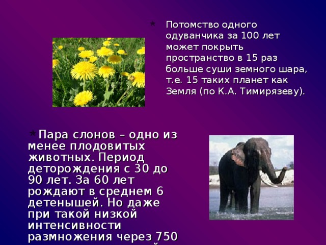 Потомство одного одуванчика за 100 лет может покрыть пространство в 15 раз больше суши земного шара, т.е. 15 таких планет как Земля (по К.А. Тимирязеву). Пара слонов – одно из менее плодовитых животных. Период деторождения с 30 до 90 лет. За 60 лет рождают в среднем 6 детенышей. Но даже при такой низкой интенсивности размножения через 750 лет потомство одной пары слонов составило бы 19 миллионов особей. 