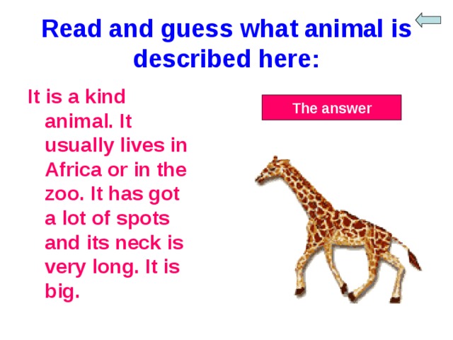 Read and guess what animal is described here: It is a kind animal. It usually lives in Africa or in the zoo. It has got a lot of spots and its neck is very long. It is big. The answer 