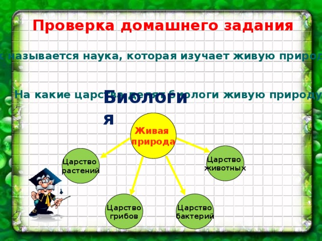 Как называется наука изучающая камни