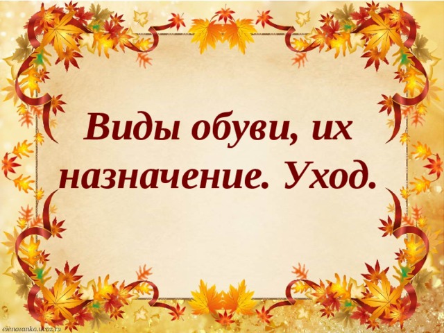 Виды обуви, их назначение. Уход.
