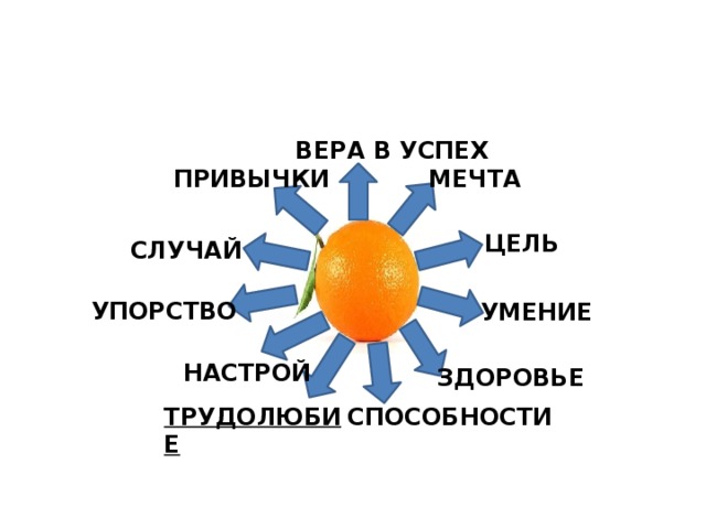 Презентация мечты и цели