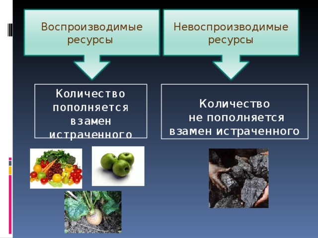 Воспроизводимые ресурсы Невоспроизводимые ресурсы Количество пополняется взамен истраченного Количество  не пополняется взамен истраченного 