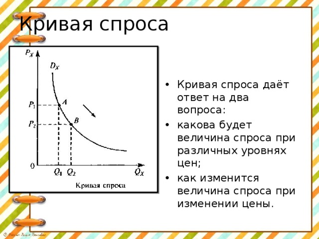 Кривая спроса Кривая спроса даёт ответ на два вопроса: какова будет величина спроса при различных уровнях цен; как изменится величина спроса при изменении цены. 