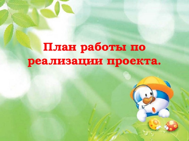 План работы по реализации проекта. 