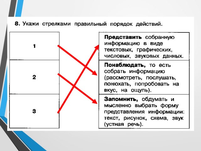 Расположение какой стрелки показано правильно Представление информации - Информатика - Презентации - 3 класс
