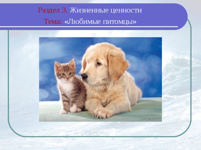 Раздел 3. Жизненные ценности  Тема: «Любимые питомцы»