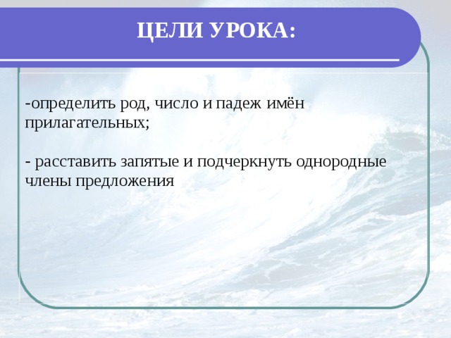 ЦЕЛИ УРОКА: определить род, число и падеж имён прилагательных;  - расставить запятые и подчеркнуть однородные члены предложения