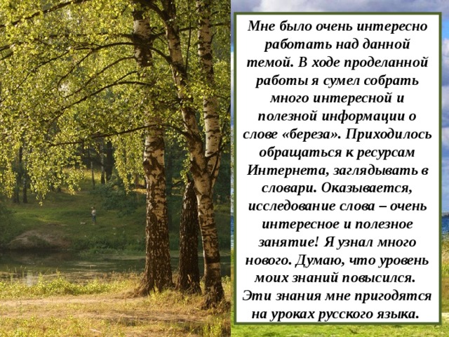 Значение слова береза. Текст о Березе 3 класс по русскому языку. Про березу очень интересное. Рассказ о слове береза проект по русскому. Текст про березу 3 класс русский язык.