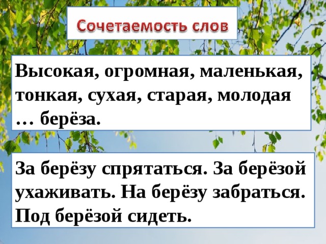 Высокая, огромная, маленькая, тонкая, сухая, старая, молодая … берёза. За берёзу спрятаться. За берёзой ухаживать. На берёзу забраться. Под берёзой сидеть. 