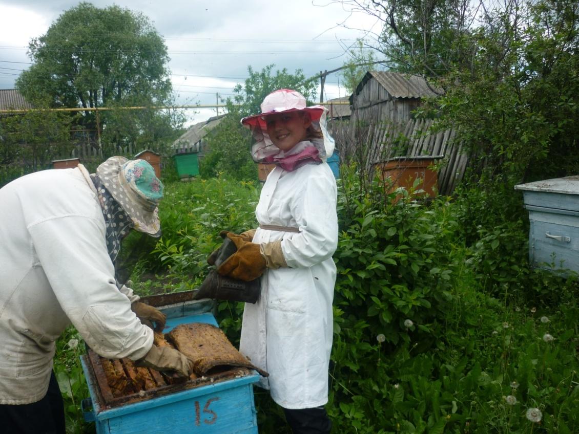 Геометрия пчелиных сот