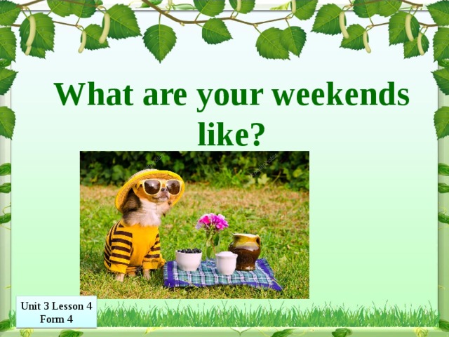 What are your weekends like. What is your weekend like. What are your weekends like? Задание. Английский рассказ what are your weekend like.