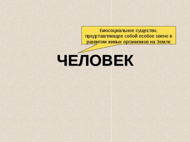 Биосоциальное существо, представляющее собой особое звено в развитии живых организмов на Земле ЧЕЛОВЕК 