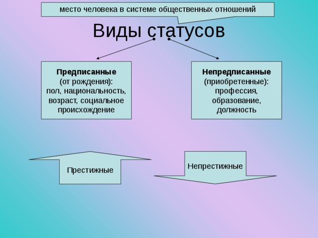 место человека в системе общественных отношений Виды статусов Предписанные (от рождения): пол, национальность, возраст, социальное происхождение Непредписанные (приобретенные): профессия, образование, должность Престижные Непрестижные 