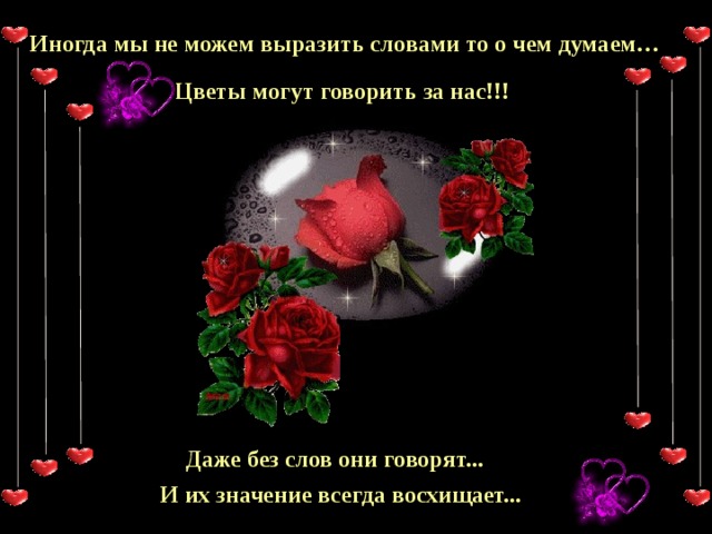 Иногда мы не можем выразить словами то о чем думаем… Цветы могут говорить за нас!!! Даже без слов они говорят... И их значение всегда восхищает... 