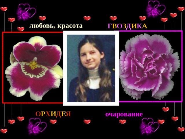 любовь, красота Г В О З Д И К А О Р Х И Д Е Я очарование 
