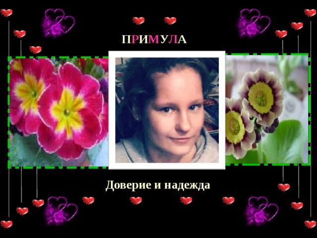 П Р И М У Л А Доверие и надежда  