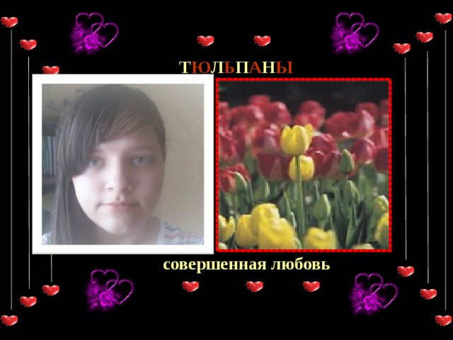 Т Ю Л Ь П А Н Ы совершенная любовь 