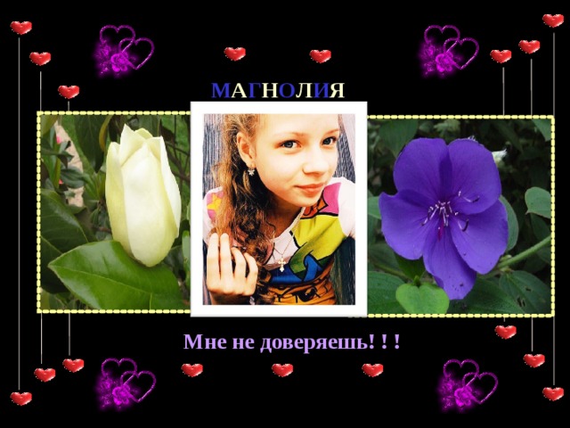 М А Г Н О Л И Я Мне не доверяешь! ! ! 