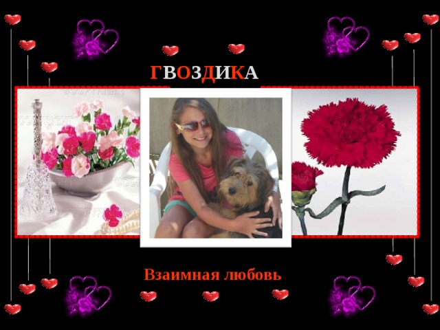 Г В О З Д И К А Взаимная любовь 