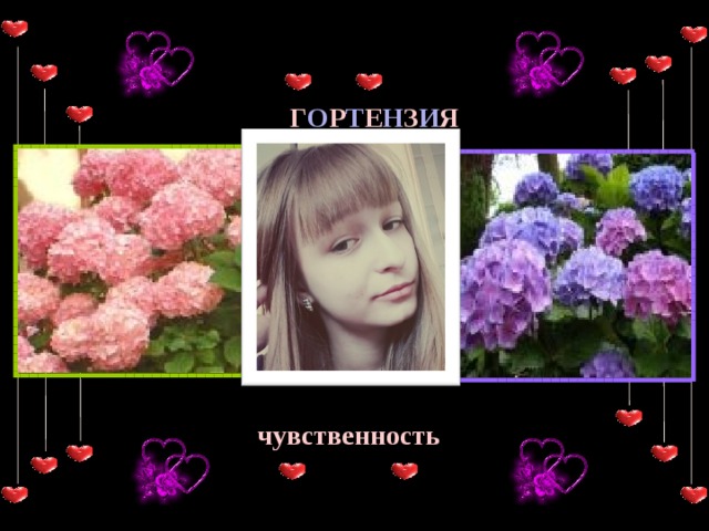  Г О Р Т Е Н З И Я чувственность 