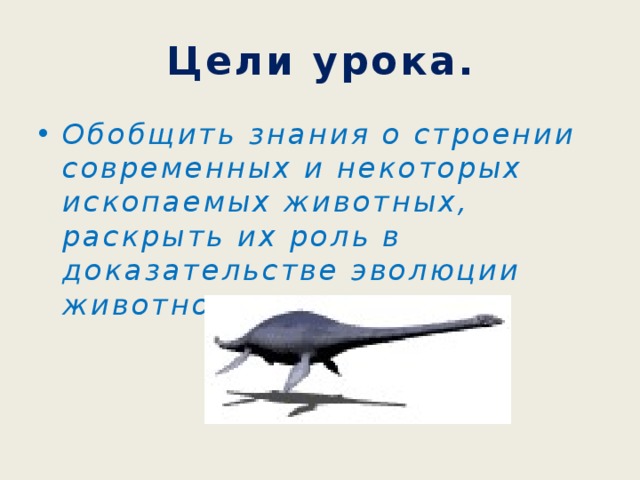 Цели урока. Обобщить знания о строении современных и некоторых ископаемых животных, раскрыть их роль в доказательстве эволюции животного мира. 