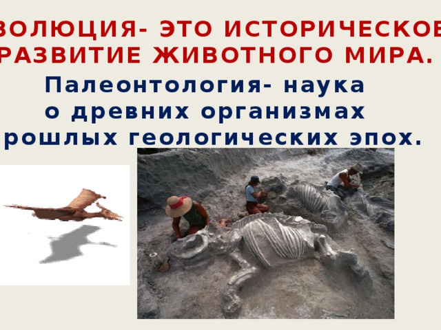 Эволюция- это историческое развитие животного мира. Палеонтология- наука  о древних организмах прошлых геологических эпох. 