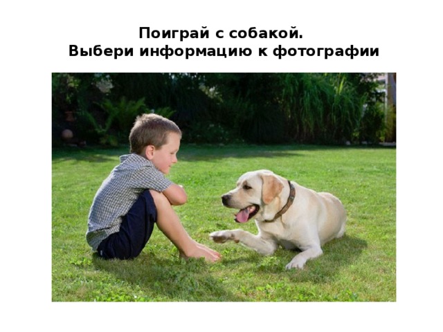 Поиграй с собакой.  Выбери информацию к фотографии 