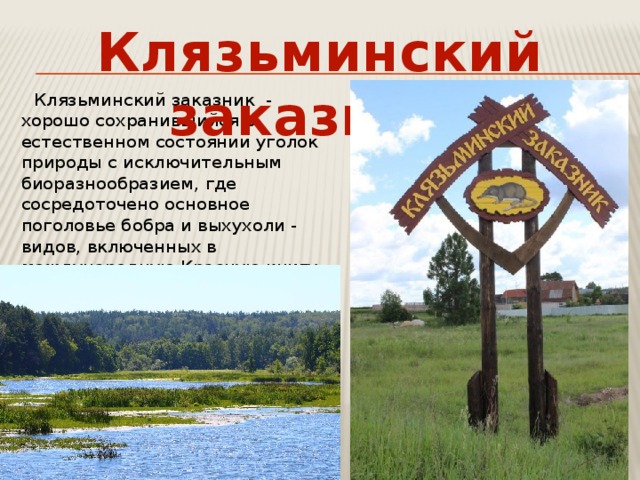 Клязьминский заказник презентация