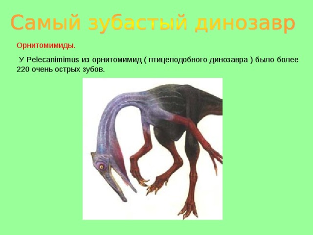 Орнитомимиды.  У Pelecanimimus из орнитомимид ( птицеподобного динозавра ) было более 220 очень острых зубов. 