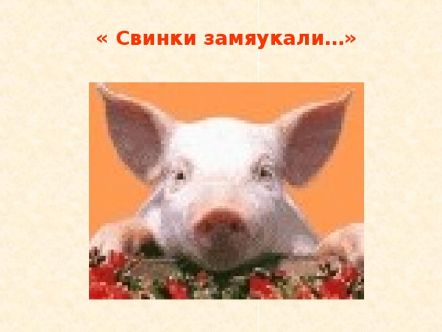 « Свинки замяукали…» 