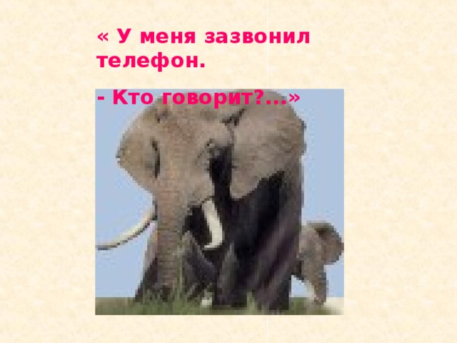 « У меня зазвонил телефон. - Кто говорит?...» 