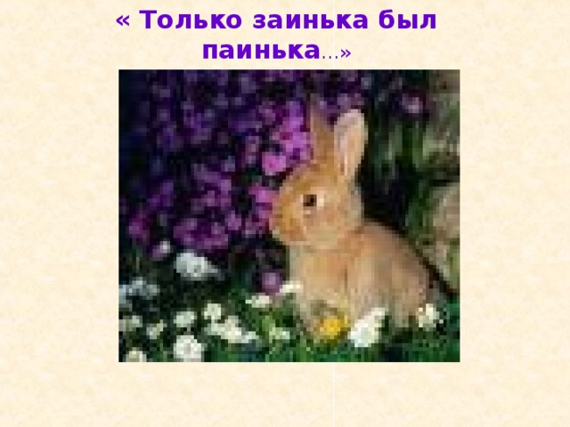 « Только заинька был паинька …» 