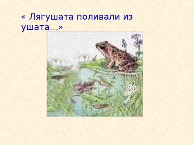 « Лягушата поливали из ушата…» 