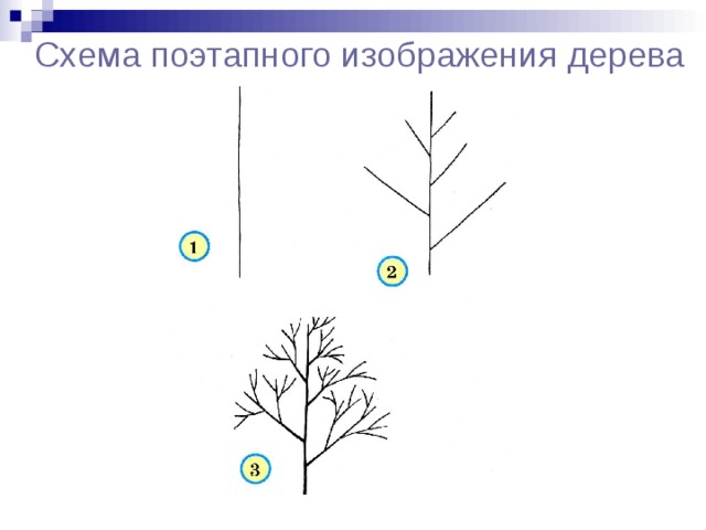 Схема поэтапного изображения дерева 