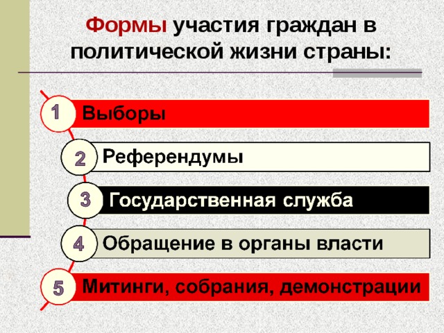 Формы участия граждан в политической жизни страны: 