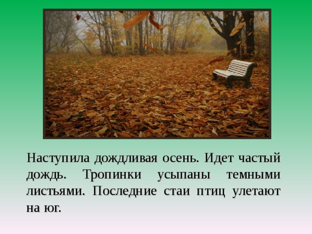 Никем не убранные листья устлали аллеи и тропинки покрыли мокрые от дождя крашеные скамейки