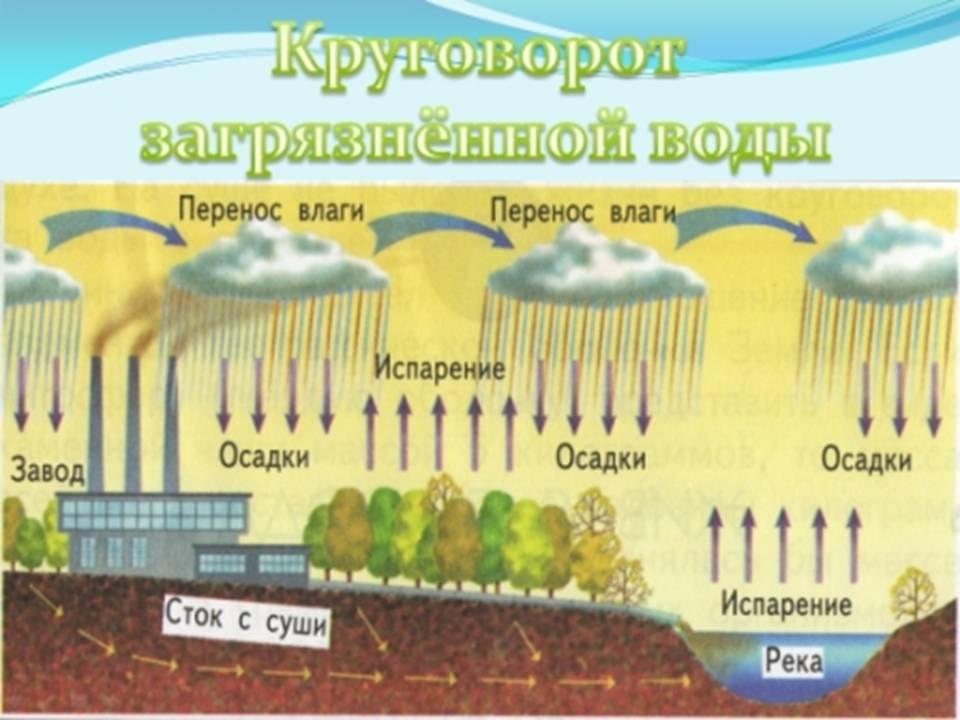 Как с помощью схемы показать необходимость. Круговорот воды в природе. Круговорот загрязненной воды в природе. Круговорот отравленной воды. Круговорот воды отравленной воды в природе.