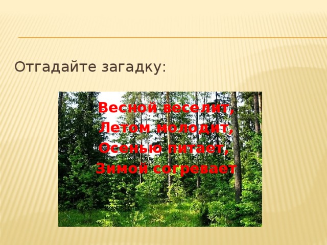 Загадка осенью веселит летом холодит