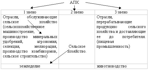 Схема апк по географии 8 класс