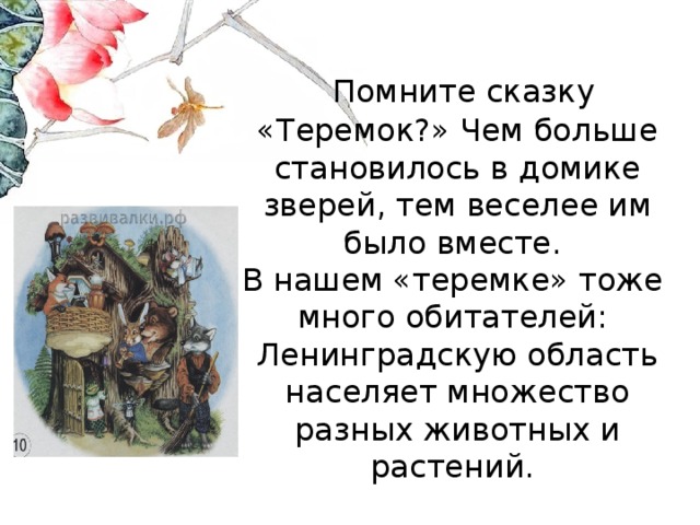  Помните сказку «Теремок?» Чем больше становилось в домике зверей, тем веселее им было вместе.  В нашем «теремке» тоже много обитателей:  Ленинградскую область населяет множество разных животных и растений. 