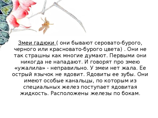 Змеи гадюки ( они бывают серовато-бурого, черного или красновато-бурого цвета) . Они не так страшны как многие думают. Первыми они никогда не нападают. И говорят про змею «ужалила» - неправильно. У змеи нет жала. Ее острый язычок не ядовит. Ядовиты ее зубы. Они имеют особые канальцы, по которым из специальных желез поступает ядовитая жидкость. Расположены железы по бокам.  
